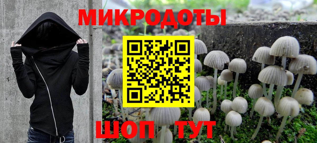 Галлюциногенные грибы прущие грибы Артём