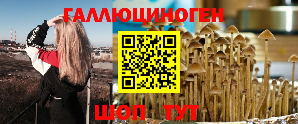 Псилоцибиновые грибы GOLDEN TEACHER  Вход с VPN  Артём 